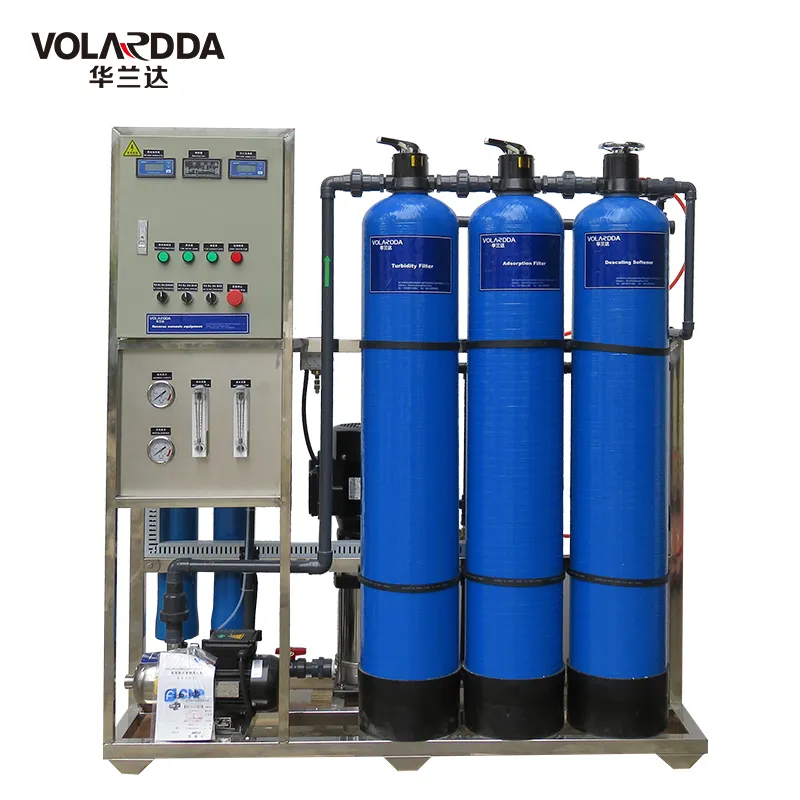 1000lph EDI RO System Reverse Osmosis System RO Water Filter Purifier Water Pruification EDI