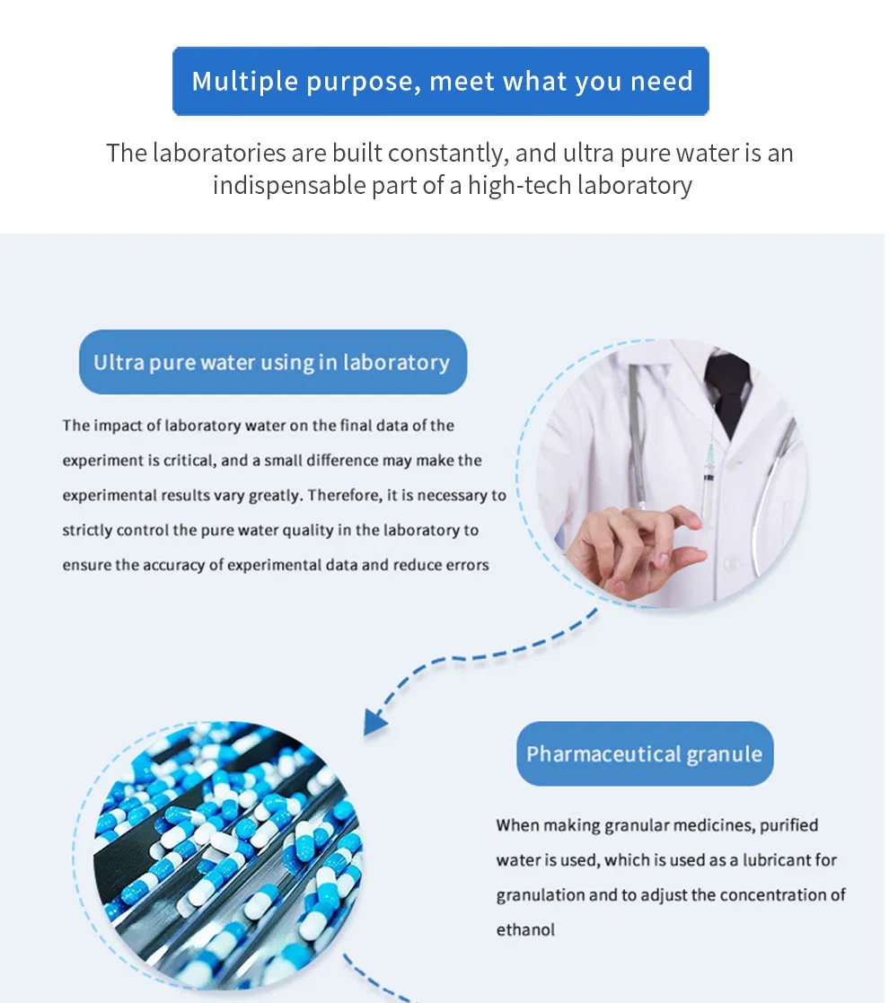 1000lph EDI RO System Reverse Osmosis System RO Water Filter Purifier Water Pruification EDI