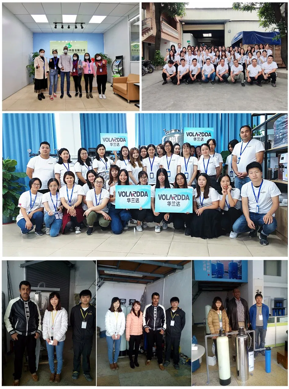 1000lph EDI RO System Reverse Osmosis System RO Water Filter Purifier Water Pruification EDI