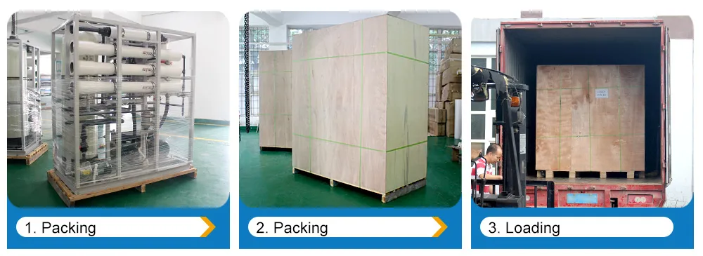 1tph Reverse Osmosis Machine to Purify Water with Security Filter