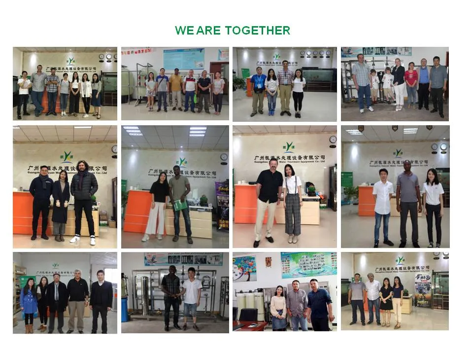 250lph Double Pass RO and EDI Planta Purificadora De Agua Water Purifier Treatment Equipment