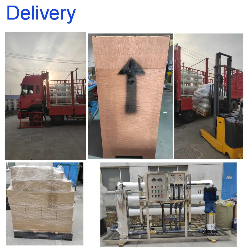 250lph Reverse Osmosis System Water Purification Plant with UV/Ozone Sterilizer