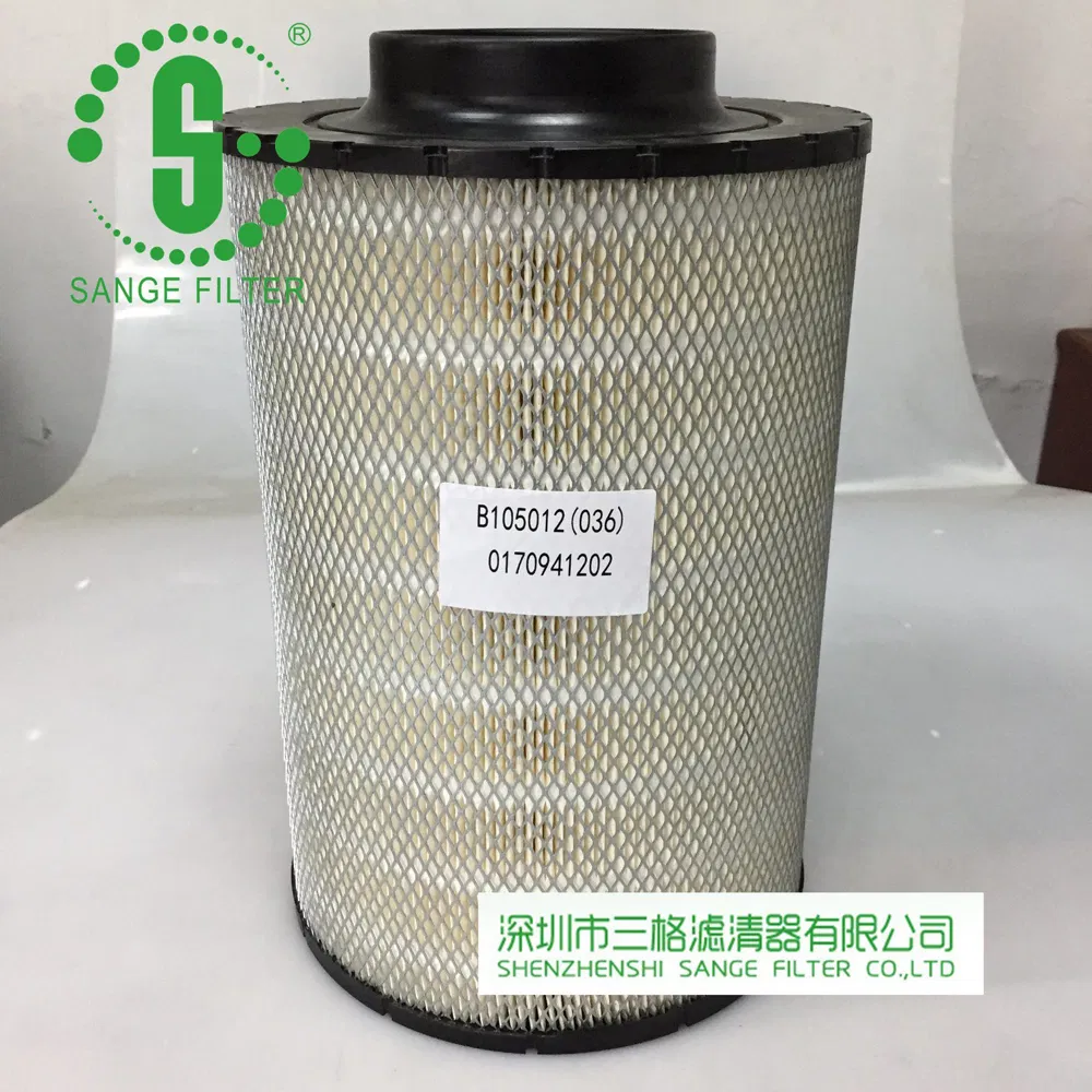 Air Element Auto Part Air Filter 170941202 B105036 Sab105036 C27040