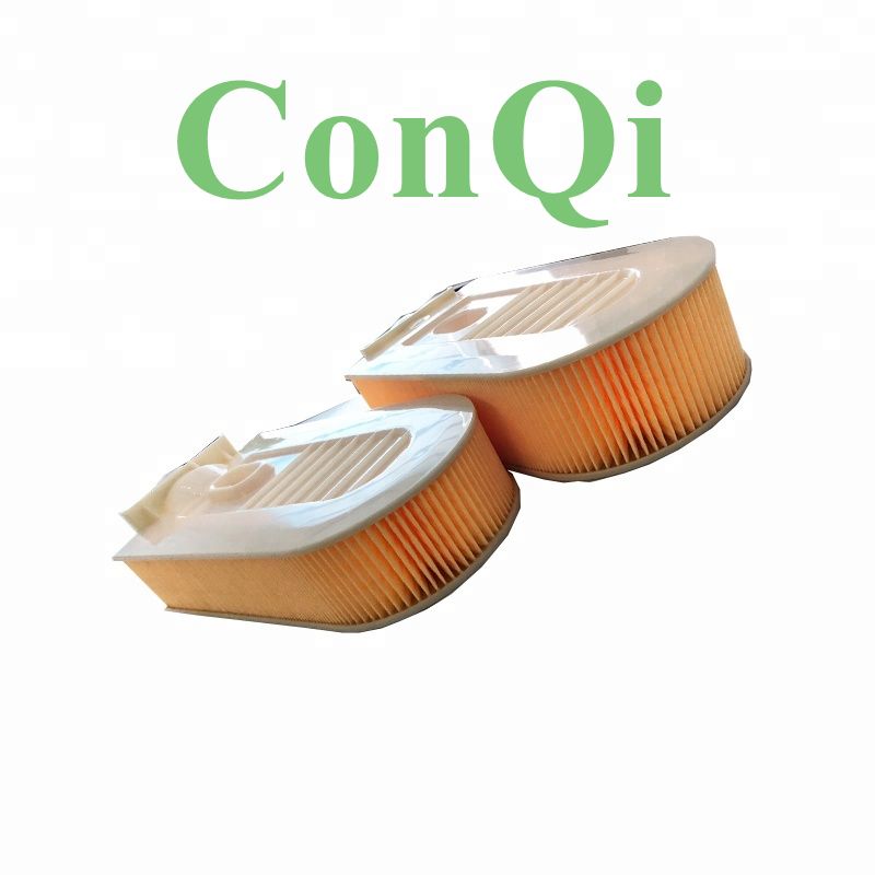 Auto Air Filter with High Quality for 6510940104 C35005