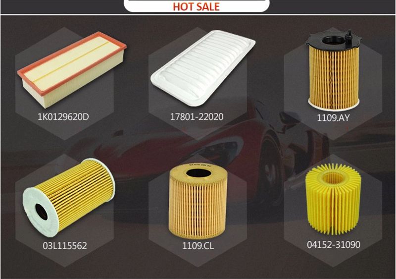 Auto Air Filter with High Quality for 6510940104 C35005