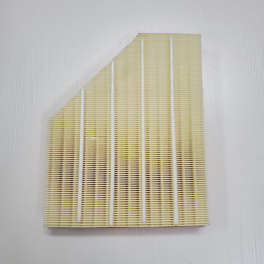 Auto Parts Air Fliter 1371 8580 428 for BMW