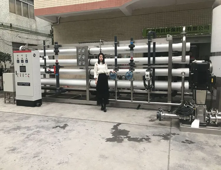 Ck-30t/H RO Desalination Machine/Sea Water Desalination Systems