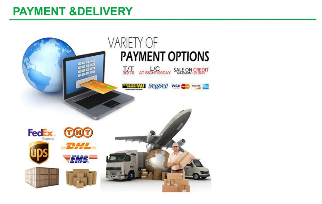 Compressed Air Filter F-0010-He F-0010-Gp Line Element Filter