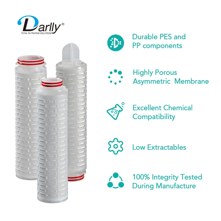 Darlly 0.22 Micron Sterilizing Grade Pes Membrane Micro Pleated Water Cartridge Filters Prior to Bottling