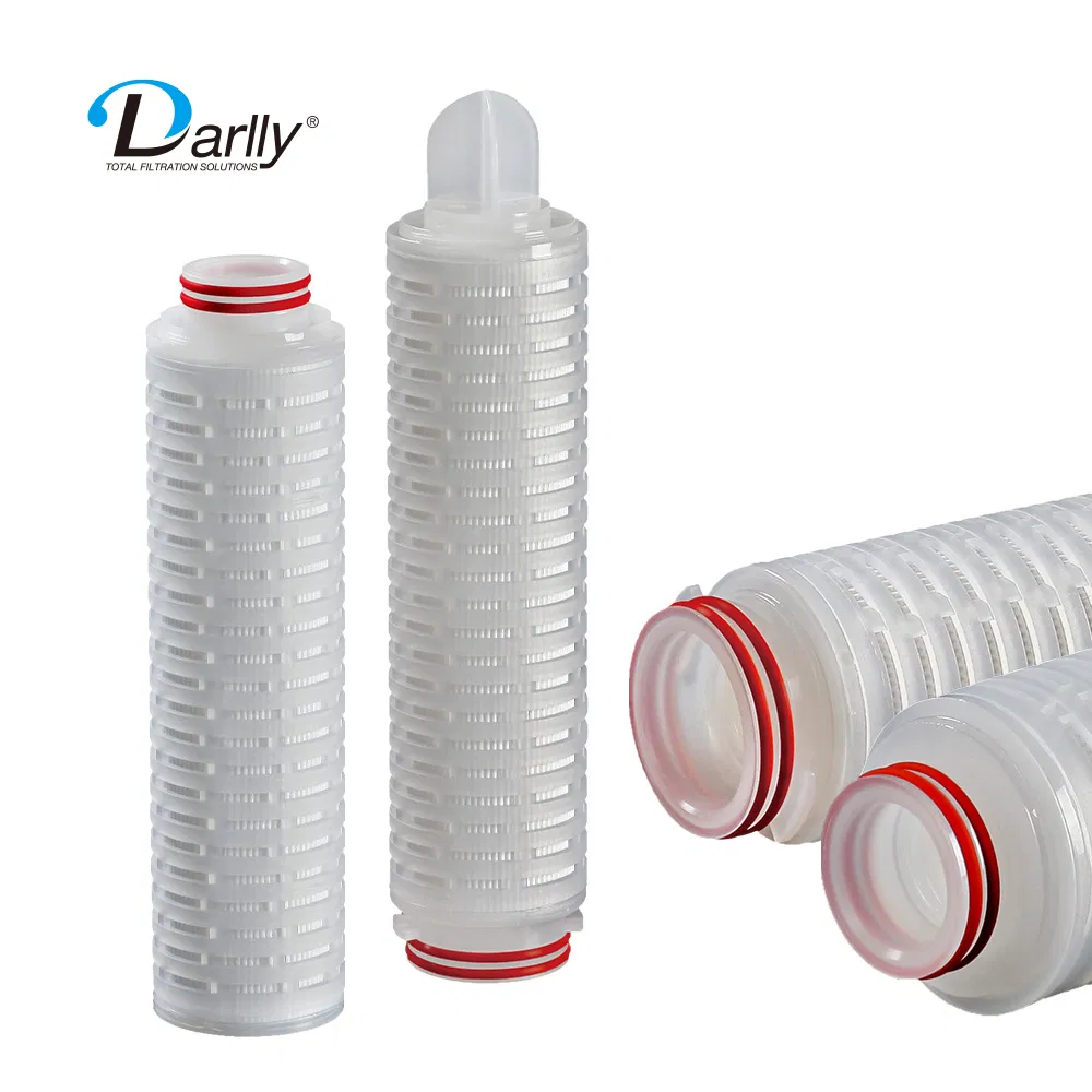 Darlly 0.22 Micron Sterilizing Grade Pes Membrane Micro Pleated Water Cartridge Filters Prior to Bottling