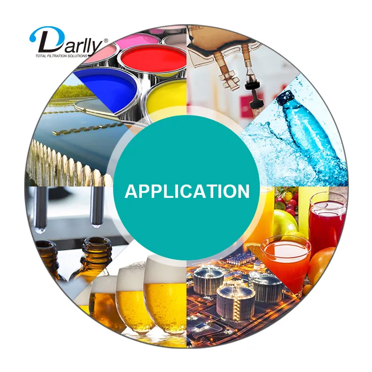 Darlly 0.22 Micron Sterilizing Grade Pes Membrane Micro Pleated Water Cartridge Filters Prior to Bottling