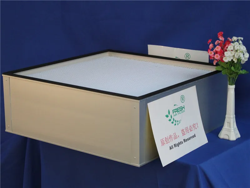 Deep Pleated HEPA Filter with Paper Separator
