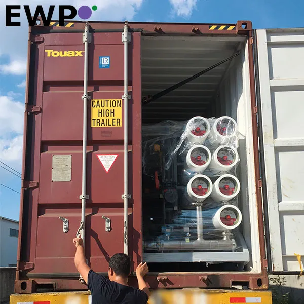 Ewp Reverse Osmosis Desalination Plant for Water Treatment (BWRO-P412-18000)