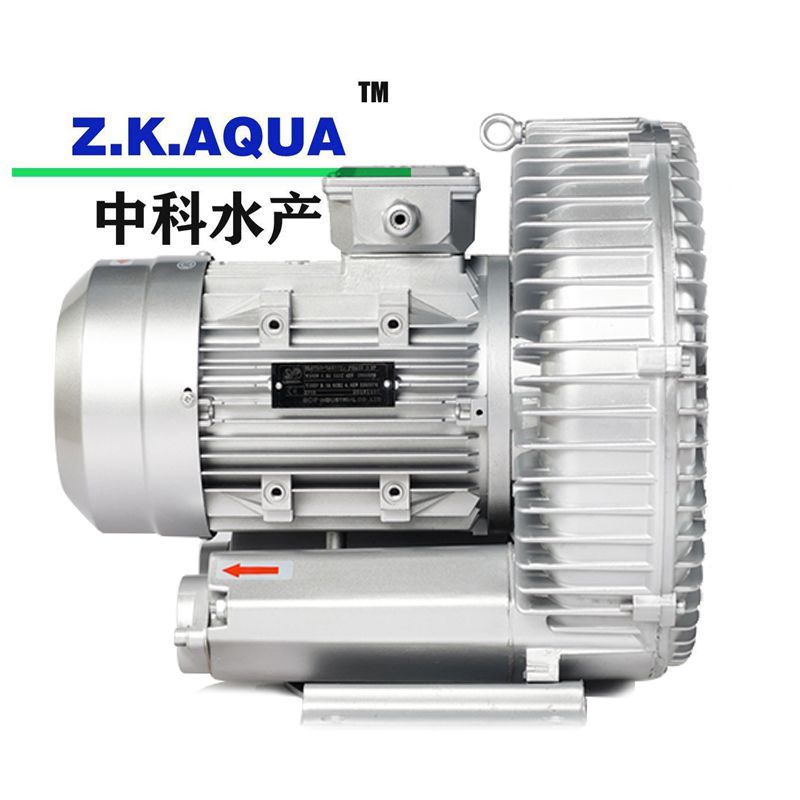 High Quality Inprove Fish Survival Rate Blower with Ras