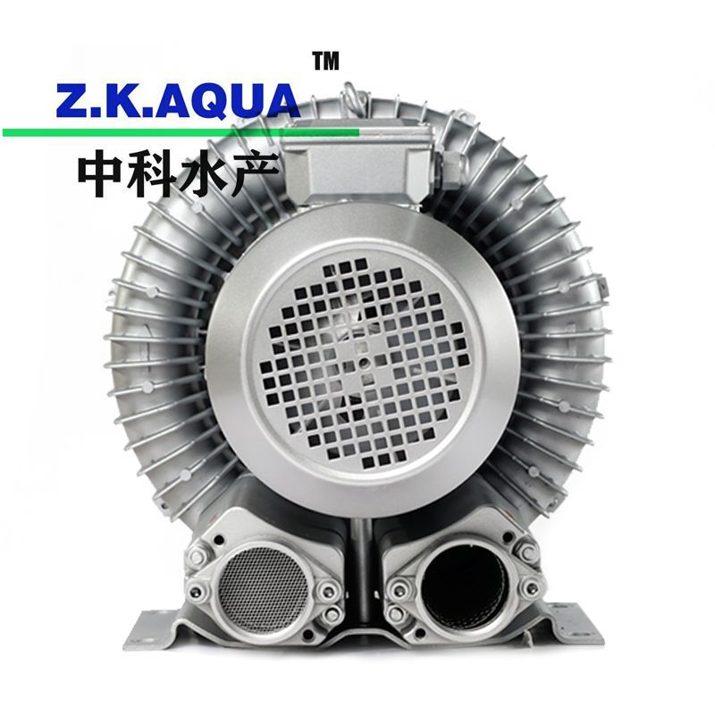 High Quality Inprove Fish Survival Rate Blower with Ras
