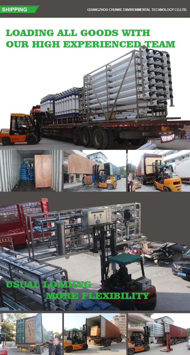 Reverse Osmosis Systems Manufacturer 100lph Water Purifier for Brackish Water Desalination System RO System for Salty Water Purification