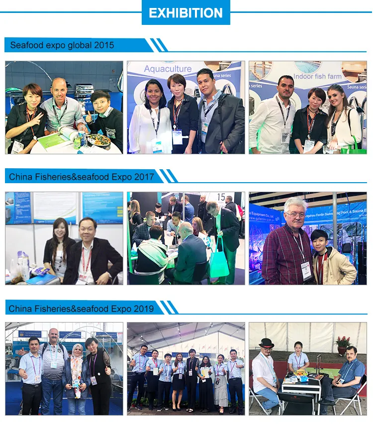 Sewage Treatment Equipment Moving Bed Filter 15~250m3/H Moving Bed Filter