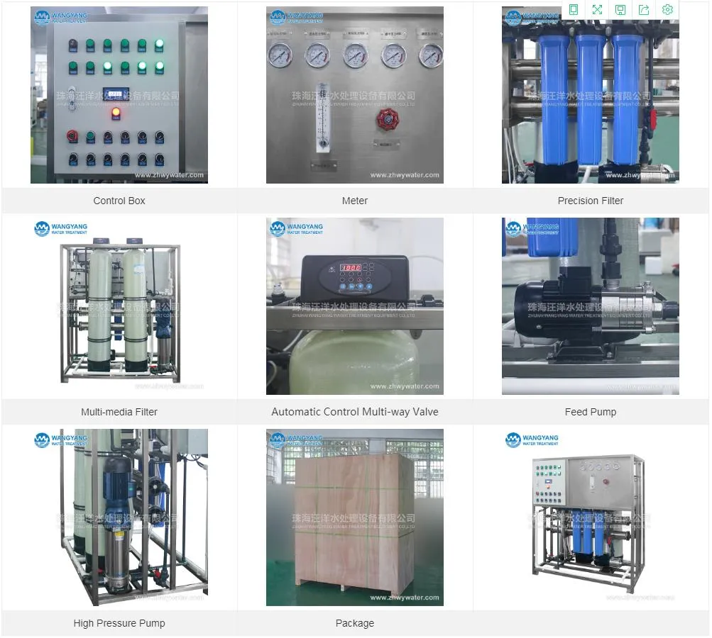 SUS304 Mineral Water Plant Water Purification Machines for RO Bottled Drinking Good Price