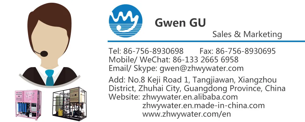 Water Purification Application and 250lph Capacity Small Water Treatment Plant